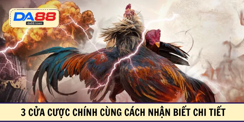 Đá Gà Cựa Sắt – Thỏa Mãn Đam Mê Với Các Trận So Tài Hấp Dẫn – DA88&#55356&#57238 Trang Đích Đăng KÝ DA88.COM &#55356&#57286 Giải Trí Có Tiền - Arivo