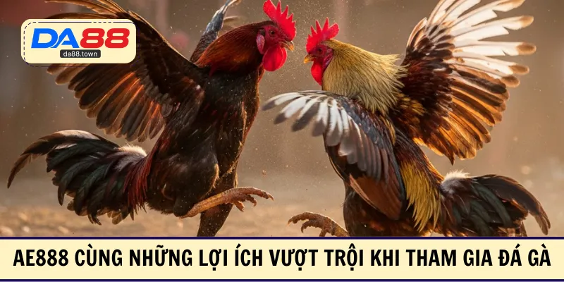 Đá Gà AE888 – Chọn Gà Sát Thủ Ăn Tiền Thắng Lớn Mỗi Ngày – DA88&#55356&#57238 Trang Đích Đăng KÝ DA88.COM &#55356&#57286 Giải Trí Có Tiền - Arivo