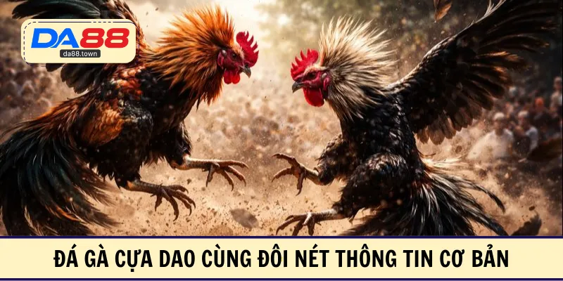 Đá Gà Cựa Dao – Xóa Sổ Đối Thủ Chỉ Bằng Vài Cú Đá Nhẹ – DA88