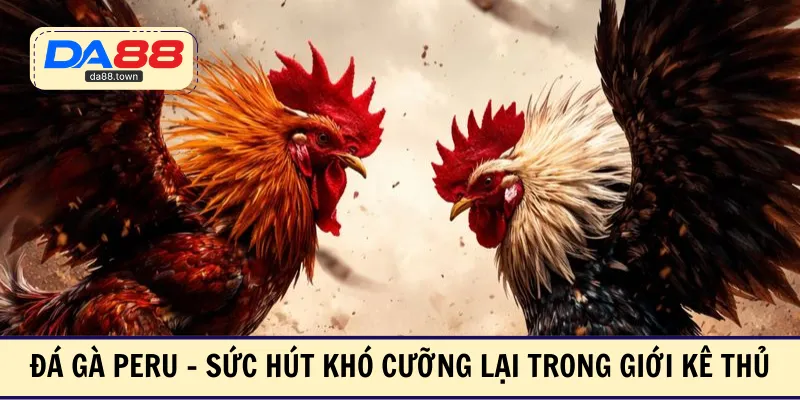 Đá Gà SV388 – Xem Ngay Các Trận Đấu Kinh Điển Nhất Châu Á – DA88&#55356&#57238 Trang Đích Đăng KÝ DA88.COM &#55356&#57286 Giải Trí Có Tiền - Arivo