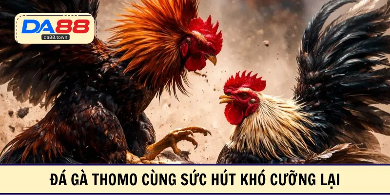 Đá Gà Thomo – Sân Khấu Đối Kháng Đỉnh Cao, Kịch Tính Top 1 – DA88&#55356&#57238 Trang Đích Đăng KÝ DA88.COM &#55356&#57286 Giải Trí Có Tiền - Arivo