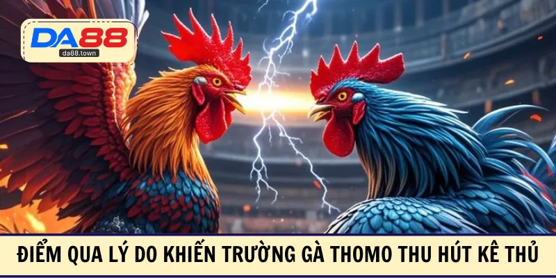 Đá Gà Thomo – Sân Khấu Đối Kháng Đỉnh Cao, Kịch Tính Top 1 – DA88&#55356&#57238 Trang Đích Đăng KÝ DA88.COM &#55356&#57286 Giải Trí Có Tiền - Arivo