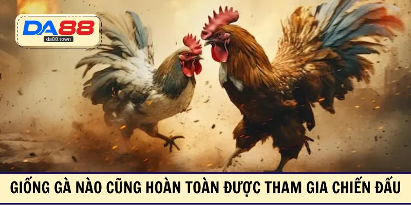 Đá Gà Cựa Dao – Xóa Sổ Đối Thủ Chỉ Bằng Vài Cú Đá Nhẹ – DA88