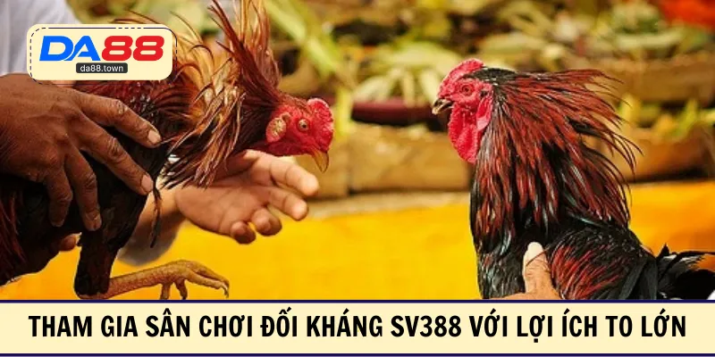 Đá Gà SV388 – Xem Ngay Các Trận Đấu Kinh Điển Nhất Châu Á – DA88&#55356&#57238 Trang Đích Đăng KÝ DA88.COM &#55356&#57286 Giải Trí Có Tiền - Arivo