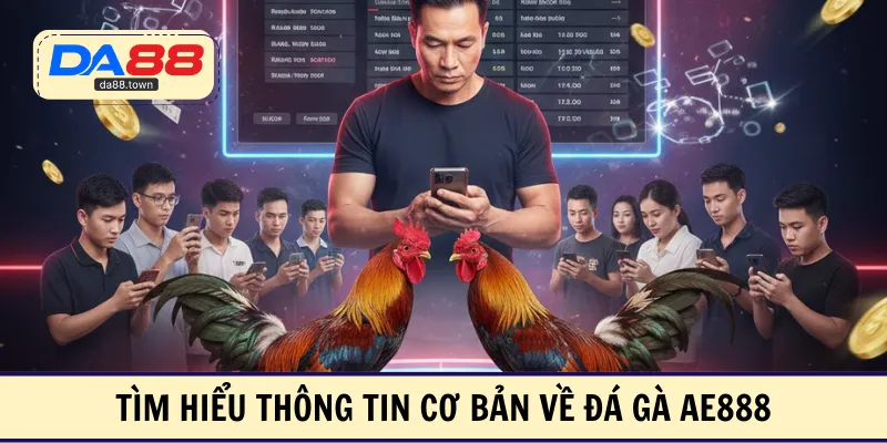 Đá Gà AE888 – Chọn Gà Sát Thủ Ăn Tiền Thắng Lớn Mỗi Ngày – DA88&#55356&#57238 Trang Đích Đăng KÝ DA88.COM &#55356&#57286 Giải Trí Có Tiền - Arivo