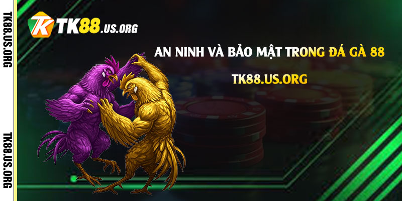 Đá Gà 88 - Trang Đá Gà Tại Tk88 Uy Tín Chất Lượng Nhất - Arivo