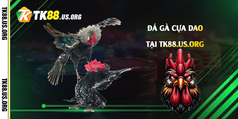 Game Online - arivo.club - Arivo