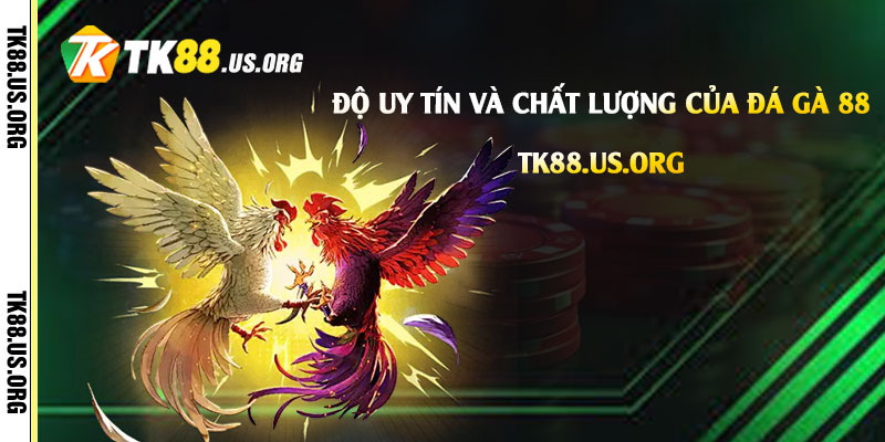 Đá Gà 88 - Trang Đá Gà Tại Tk88 Uy Tín Chất Lượng Nhất - Arivo