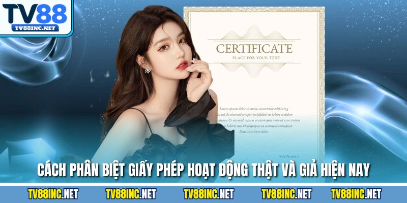 Giấy Phép Hoạt Động TV88 - Thể Hiện Sự Uy Tín, Minh Bạch - Arivo