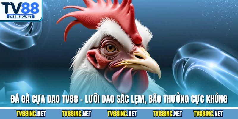 Đá Gà TV88 - Trải Nghiệm Đỉnh Cao Cùng Sàn Cá Cược Hàng Đầu - Arivo