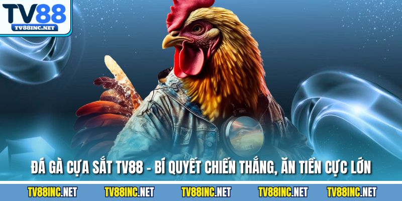 Đá Gà TV88 - Trải Nghiệm Đỉnh Cao Cùng Sàn Cá Cược Hàng Đầu - Arivo
