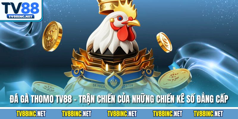 Đá Gà TV88 - Trải Nghiệm Đỉnh Cao Cùng Sàn Cá Cược Hàng Đầu - Arivo