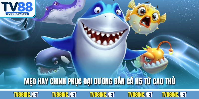 Bắn Cá H5 TV88 – Trải Nghiệm Săn Thưởng Đỉnh Cao Hiện Nay - Arivo