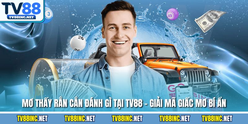 Mơ Thấy Rắn Cắn Đánh Gì Tại TV88 - Giải Mã Giấc Mơ Bí Ẩn - Arivo