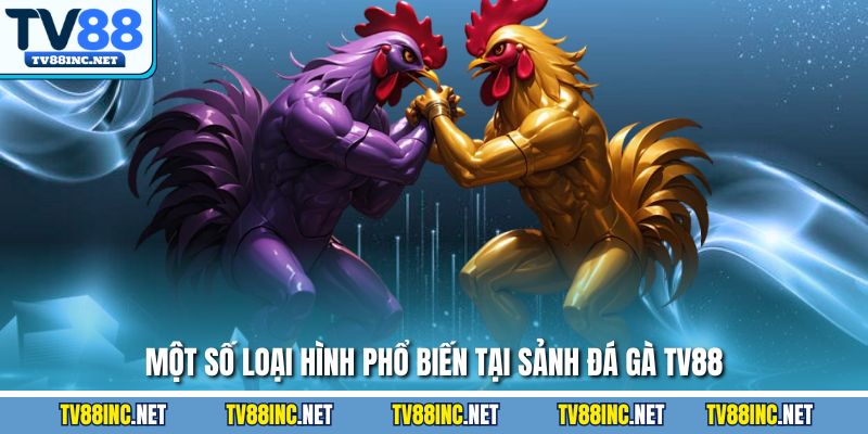 Đá Gà TV88 - Trải Nghiệm Đỉnh Cao Cùng Sàn Cá Cược Hàng Đầu - Arivo