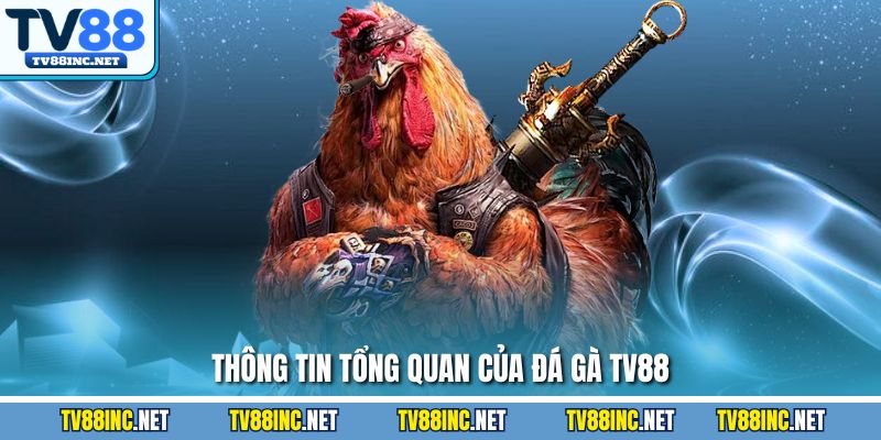 Đá Gà TV88 - Trải Nghiệm Đỉnh Cao Cùng Sàn Cá Cược Hàng Đầu - Arivo
