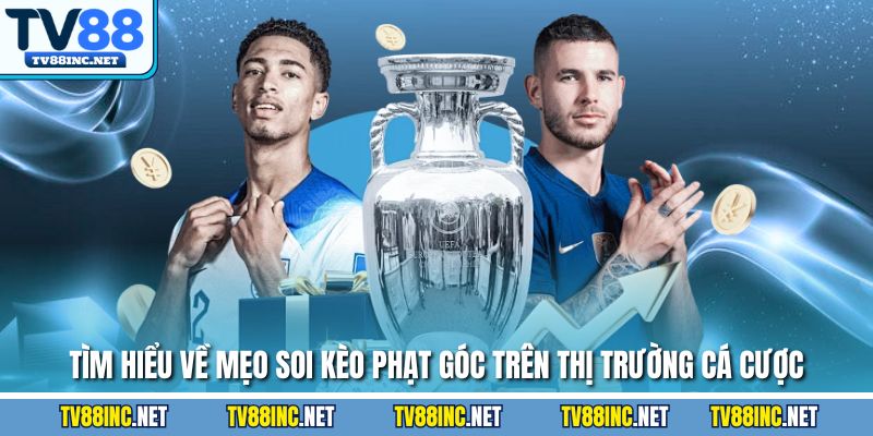 Mẹo Soi Kèo Phạt Góc Chuẩn Xác Giúp Gia Tăng Cơ Hội Thắng - Arivo