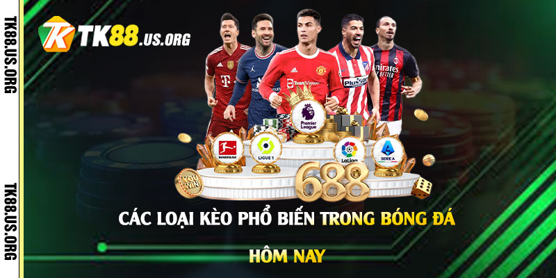 Xem Tỷ Lệ Kèo Bóng Đá Hôm Nay - Xem Tỷ Lệ Cược Nhanh Nhất - Arivo