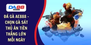 ĐÁ GÀ – DA88&#55356&#57238 Trang Đích Đăng KÝ DA88.COM &#55356&#57286 Giải Trí Có Tiền - Arivo