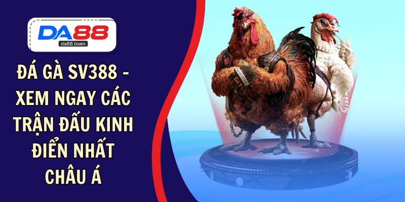 Đá Gà Thomo – Sân Khấu Đối Kháng Đỉnh Cao, Kịch Tính Top 1 – DA88&#55356&#57238 Trang Đích Đăng KÝ DA88.COM &#55356&#57286 Giải Trí Có Tiền - Arivo
