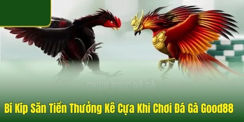 Đá Gà Good88 - Sảnh Đá Gà Thomo Uy Tín, Tỷ Lệ Thưởng 1 Ăn 99 - Arivo